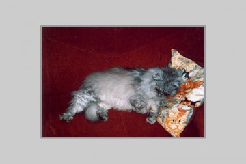 Dusty en Tina Dusty en Tina